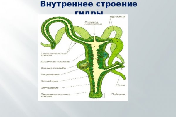 Кракен что там продают