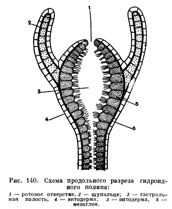 Кракен зайти зеркало